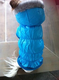 Trendy jasjes met capuchon