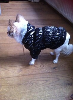 Trendy jasjes met capuchon