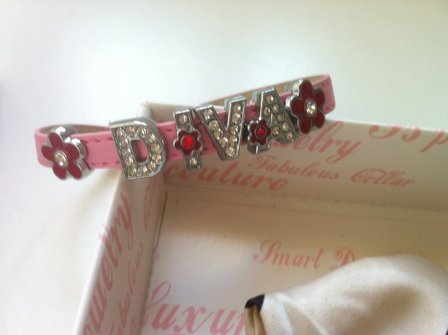 ISPET jurkje met halsband