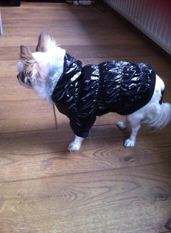 Trendy jasjes met capuchon